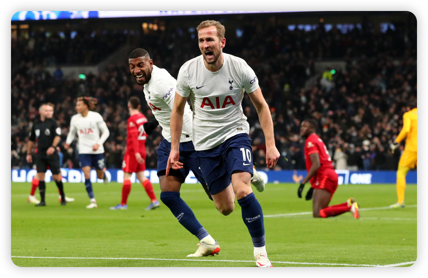 Tom Carroll's Moment of Glory Seals the Deal
