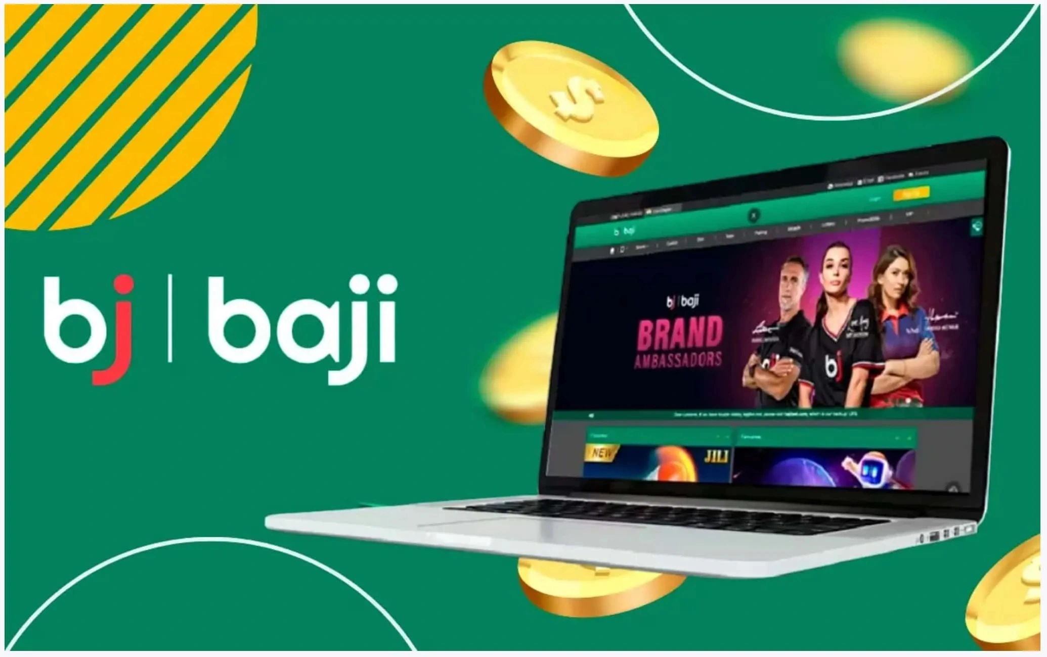 Overview About Bajilive