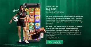 Performance and Security of the Bajilive Mobile App