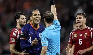 Dijk